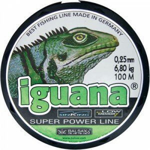 iguana-100m
