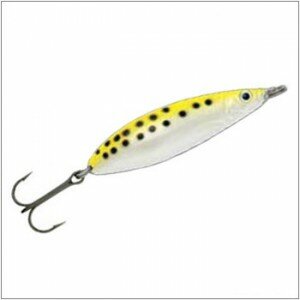 troutpike_quiver_wy 1