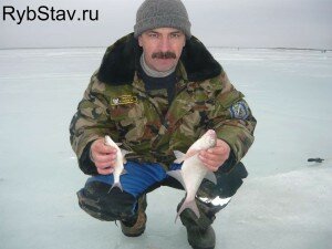 Сергей и его Конурская рыба